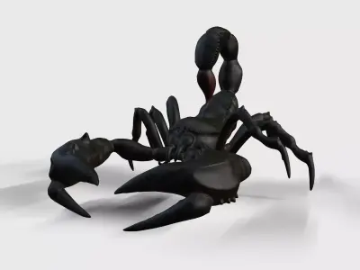Scorpion Animation and Texture  Pack 3D model