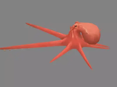 Cartoon Octopus Low-poly 3D model