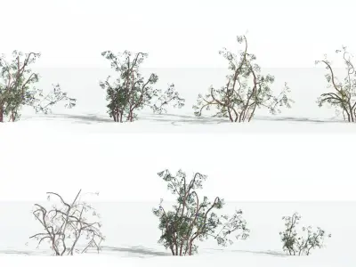 EVERYPlant Baiera 3 --14 Models-- 3D model