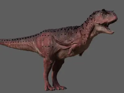 Carnotaurus Sastrei Static 3D model