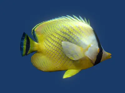 Schooling Fish  Low-poly 3D model