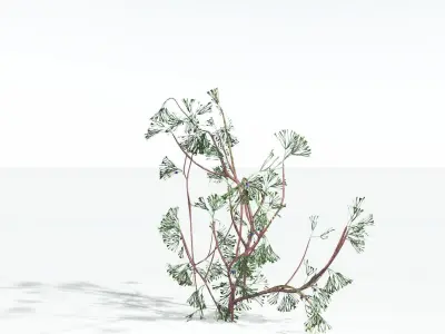 EVERYPlant Baiera LowPoly 4 --14 Models-- Low-poly 3D model