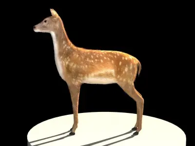 Deer 3d model Low-poly 3D model