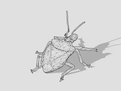 Stink bug Low-poly 3D model