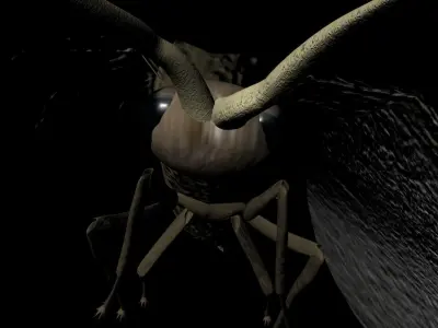 Moth Insect 3D model