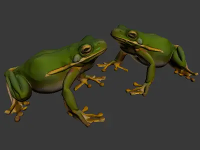 Frog bullfrog 3D model