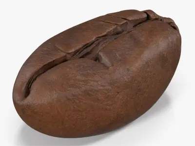 Coffee Bean Roasted 4 v 2 3D model
