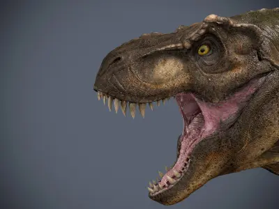 Tyrannosaurus rex -maya 3D model