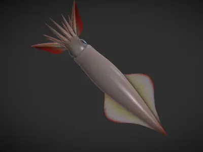 Cuttle squid with long tentacles Low-poly 3D model