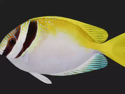 Spinefoot Low-poly 3D model