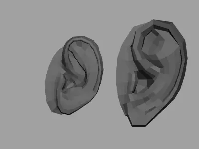 ear 3d model 3D model
