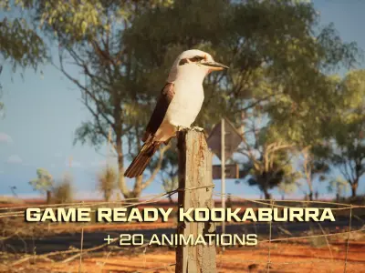 Game Ready Kookaburra with Animations Low-poly 3D model