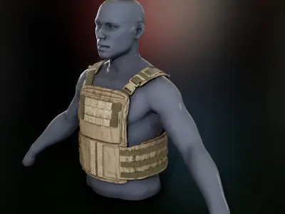 Crye Cage VEST Low-poly 3D model