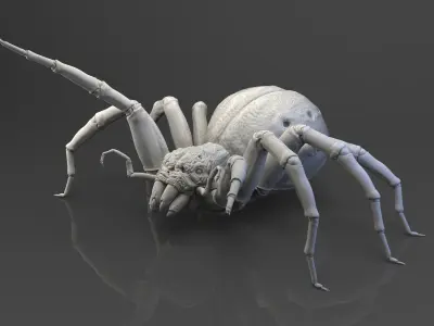 Shelob 3D model