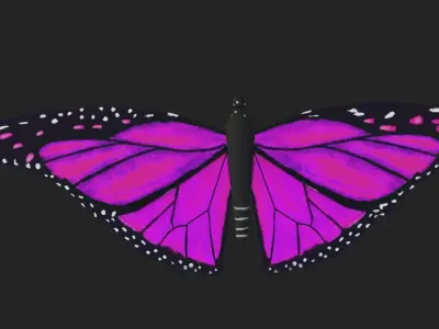 Low poly Butterfly Low-poly 3D model