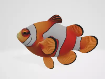 Clownfish 3D model