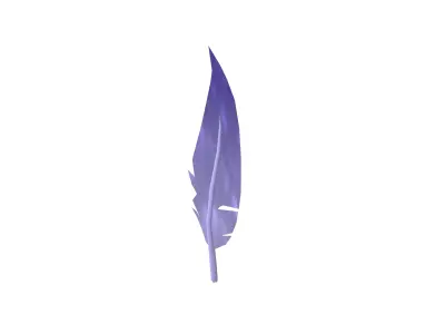 Feathers v1 005 Low-poly 3D model