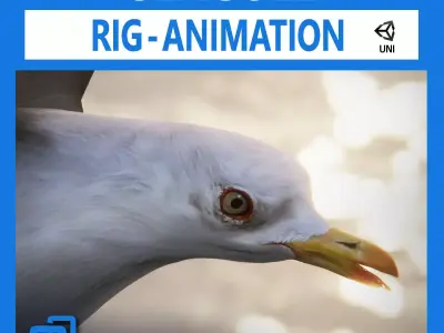 Animated Seagull Unity Low-poly 3D model