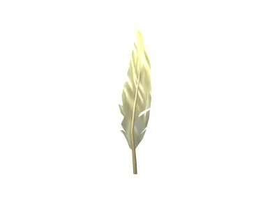 Feathers v1 010 Low-poly 3D model