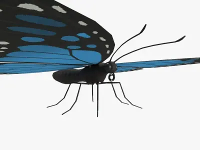 Butterfly Low-poly 3D model