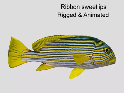 Ribbon sweetlips Low-poly 3D model