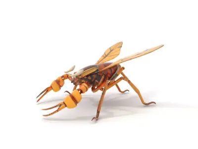 Golden Mechanical Wasp model pack Low-poly 3D model