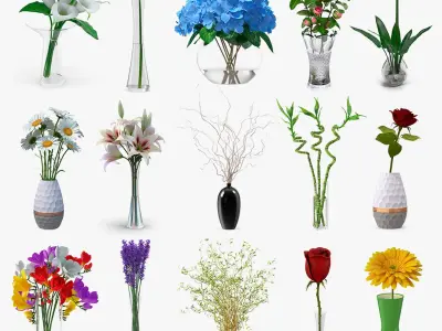 Flowers in Vases Collection 8 3D model
