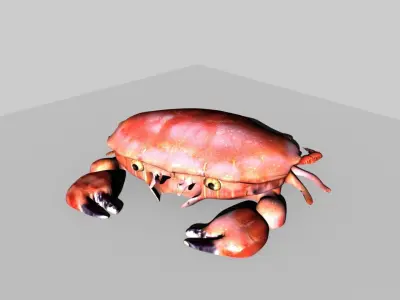 sea creature collection 3D model
