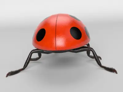 Cartoon Ladybug 3D model