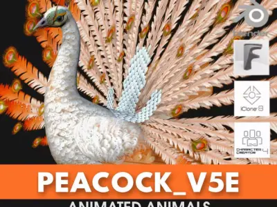 Peacock V5E 3D model