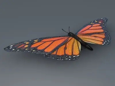 Orange Butterfly 3D model