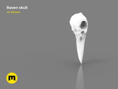 Raven Skull Free 3D print model