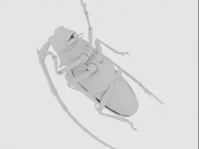 Anoplophora malasiaca 3D model