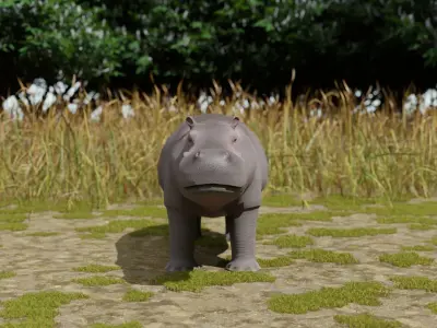 Hippo hippopotamus Low-poly 3D model
