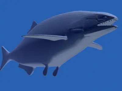 hypsocormus fish swimming in sea Low-poly 3D model