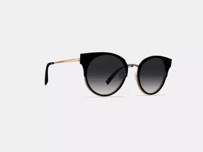 Cleo Sunglasses in Jet Black with Rose Gold 3D model