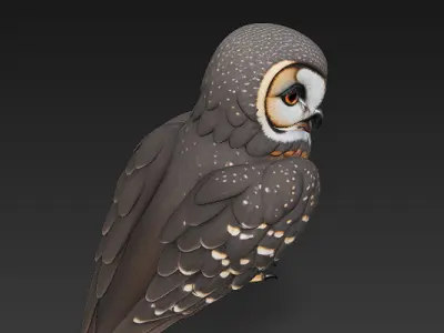 Owl Wild Realistic 3D Model - Low Poly Realistic Low-poly 3D model