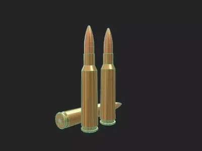 460 Steyr Ammo Low-poly 3D model