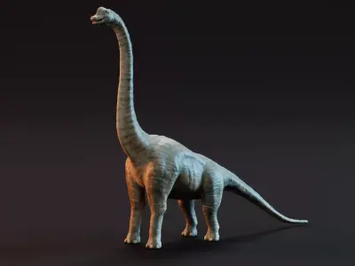 Brachiosaurus - Realistic Dinosaur 3D model