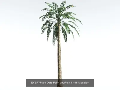 EVERYPlant Date Palm Bundle LowPoly --64 Models-- 3D Model Collection