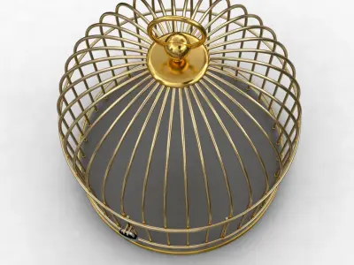 Golden Cage 3D model 3D model