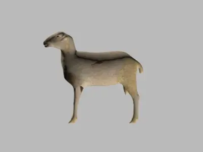 sheep LOW POLY 3D model