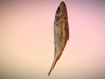 photorealistic scanned dried fish  Low-poly 3D model