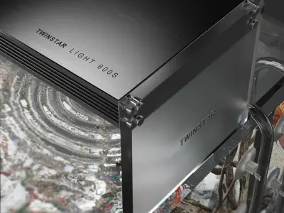 Aquarium discus fish 3D model