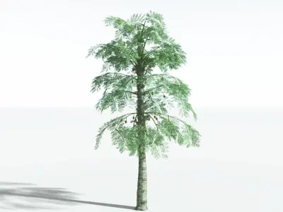 EVERYPlant Alethopteris Seed Fern 1 --12 Models-- 3D model