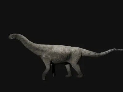Shunosaurus Realistic 3D Model Low-poly 3D model