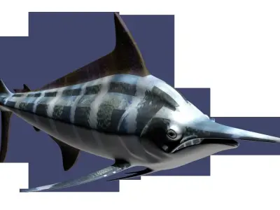 Marlin fish flying 3D model