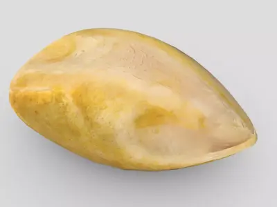 CC0 - Cooked Chicken Breast 2 Free low-poly 3D model