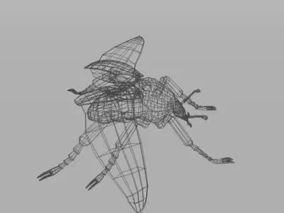 Beetle Goliath Low-poly 3D model