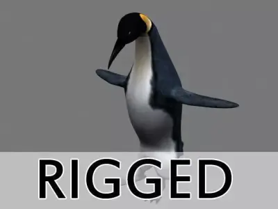 Penguin Rigged 3D model